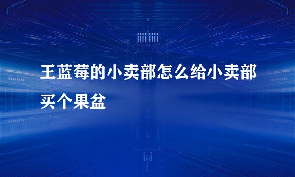 王蓝莓的小卖部怎么给小卖部买个果盆