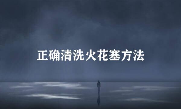 正确清洗火花塞方法