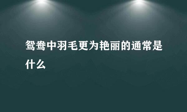 鸳鸯中羽毛更为艳丽的通常是什么