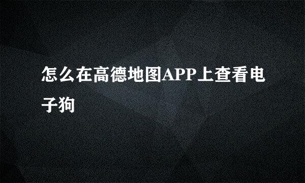 怎么在高德地图APP上查看电子狗
