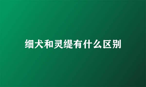 细犬和灵缇有什么区别
