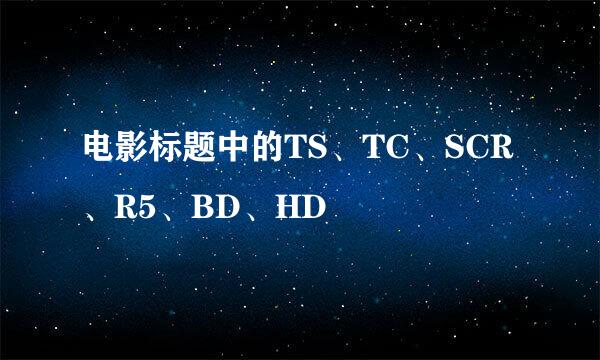 电影标题中的TS、TC、SCR、R5、BD、HD
