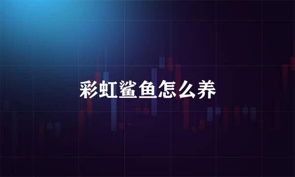 彩虹鲨鱼怎么养