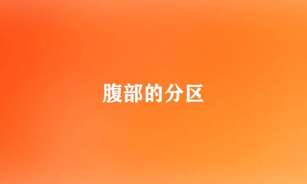 腹部的分区