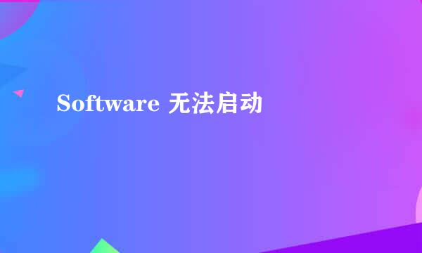 Software 无法启动
