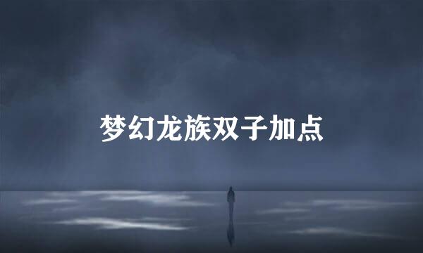 梦幻龙族双子加点