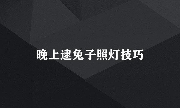 晚上逮兔子照灯技巧