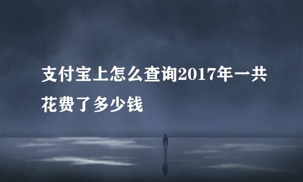 支付宝上怎么查询2017年一共花费了多少钱