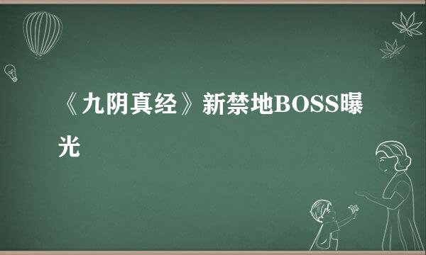 《九阴真经》新禁地BOSS曝光