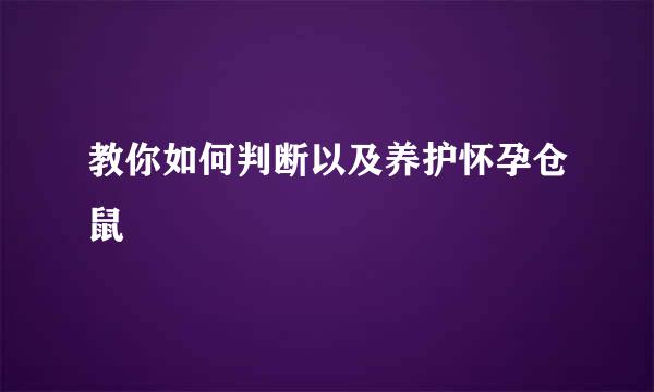 教你如何判断以及养护怀孕仓鼠