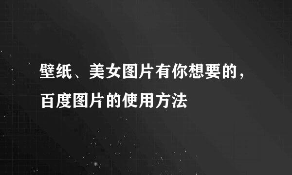 壁纸、美女图片有你想要的，百度图片的使用方法