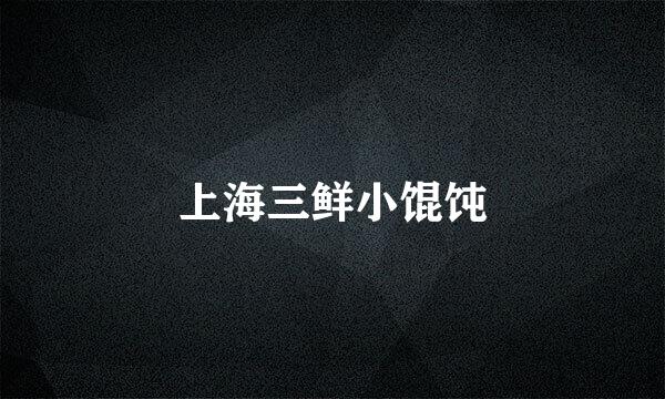 上海三鲜小馄饨