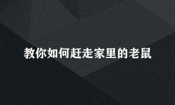 教你如何赶走家里的老鼠