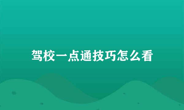 驾校一点通技巧怎么看