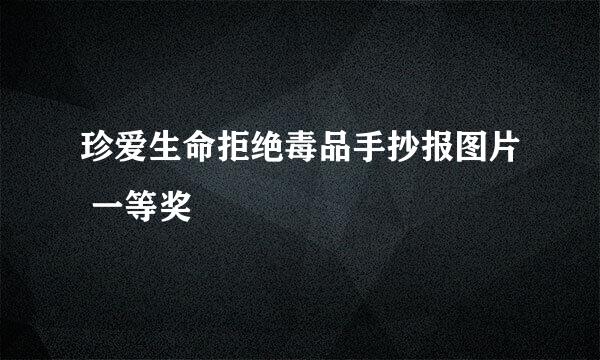 珍爱生命拒绝毒品手抄报图片 一等奖