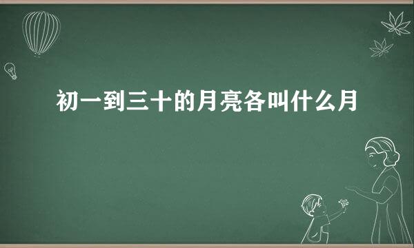 初一到三十的月亮各叫什么月