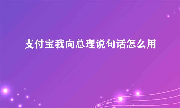 支付宝我向总理说句话怎么用