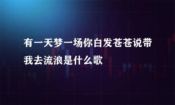 有一天梦一场你白发苍苍说带我去流浪是什么歌