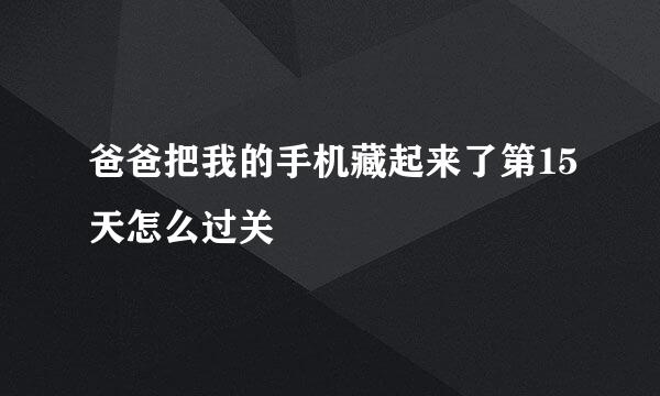 爸爸把我的手机藏起来了第15天怎么过关