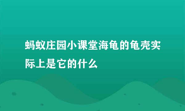 蚂蚁庄园小课堂海龟的龟壳实际上是它的什么