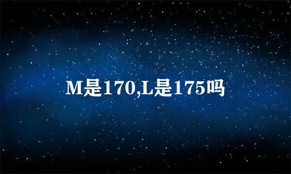 M是170,L是175吗