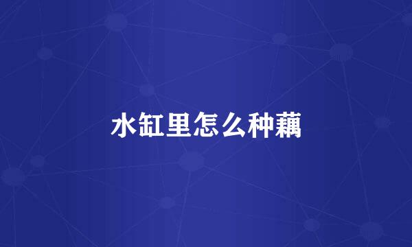 水缸里怎么种藕