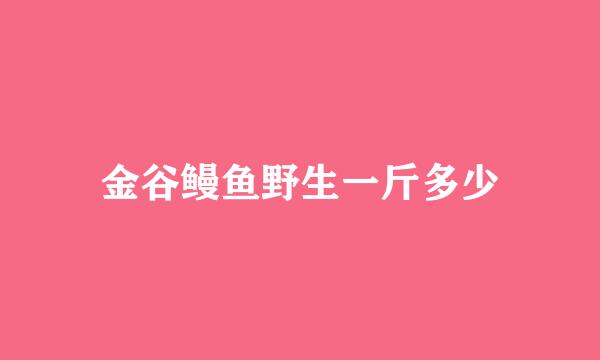 金谷鳗鱼野生一斤多少