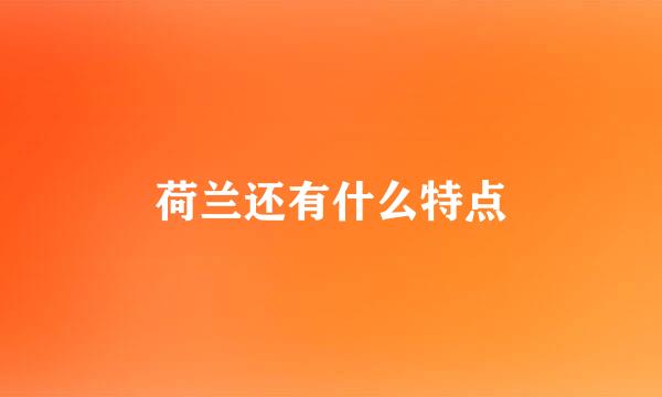 荷兰还有什么特点