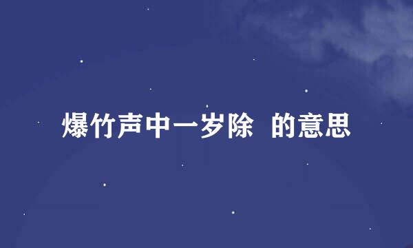爆竹声中一岁除  的意思
