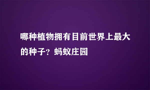 哪种植物拥有目前世界上最大的种子?蚂蚁庄园