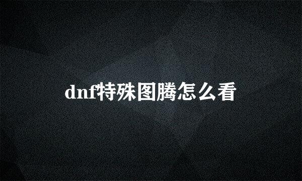 dnf特殊图腾怎么看