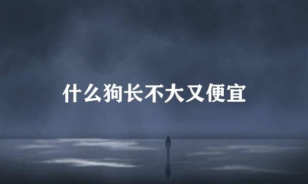 什么狗长不大又便宜