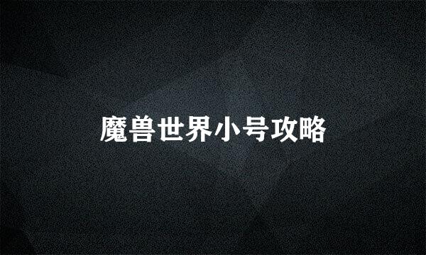 魔兽世界小号攻略