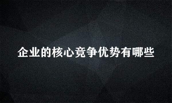 企业的核心竞争优势有哪些