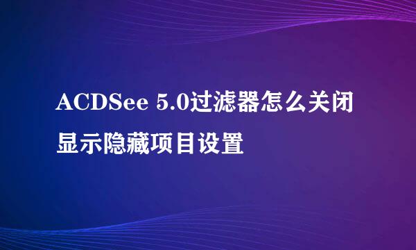 ACDSee 5.0过滤器怎么关闭显示隐藏项目设置
