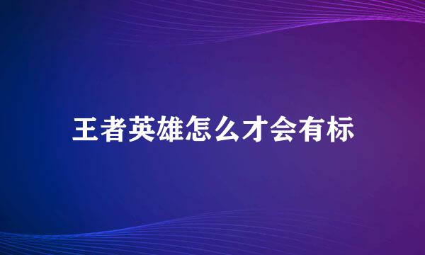 王者英雄怎么才会有标