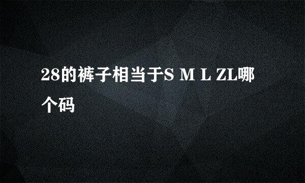 28的裤子相当于S M L ZL哪个码