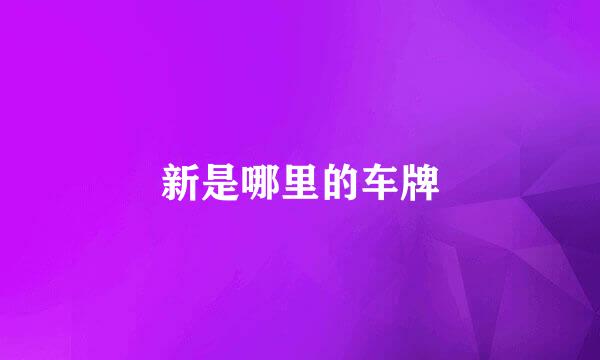 新是哪里的车牌