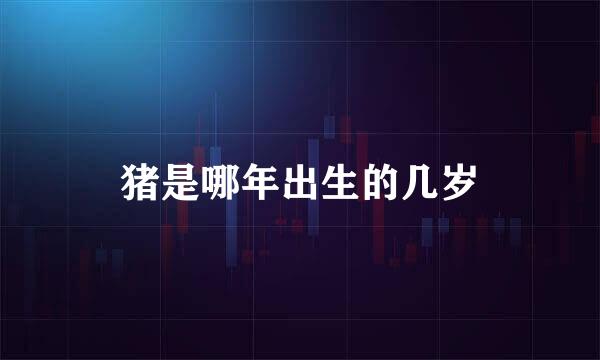 猪是哪年出生的几岁
