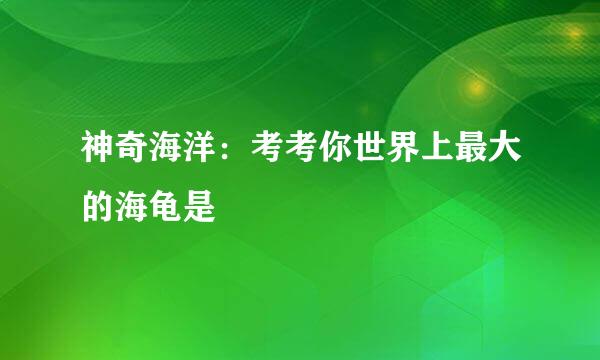 神奇海洋：考考你世界上最大的海龟是
