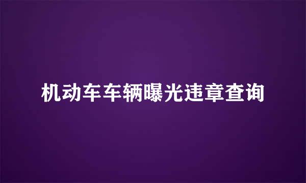 机动车车辆曝光违章查询
