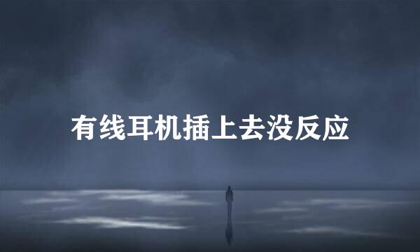 有线耳机插上去没反应