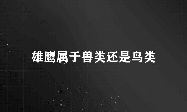 雄鹰属于兽类还是鸟类