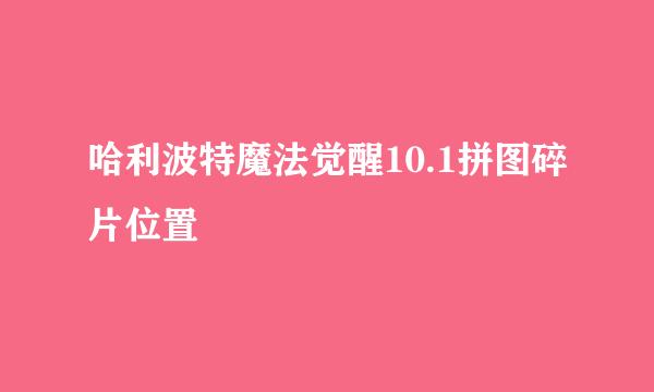 哈利波特魔法觉醒10.1拼图碎片位置