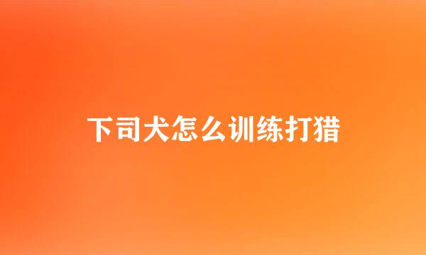 下司犬怎么训练打猎