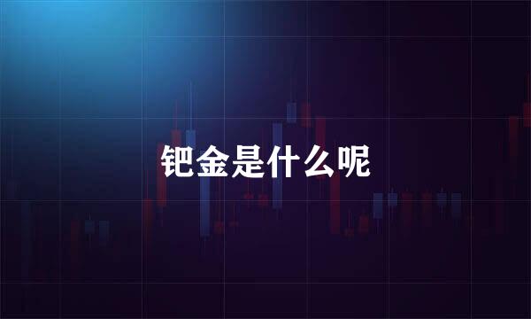 钯金是什么呢