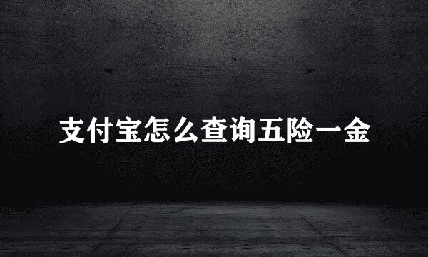 支付宝怎么查询五险一金