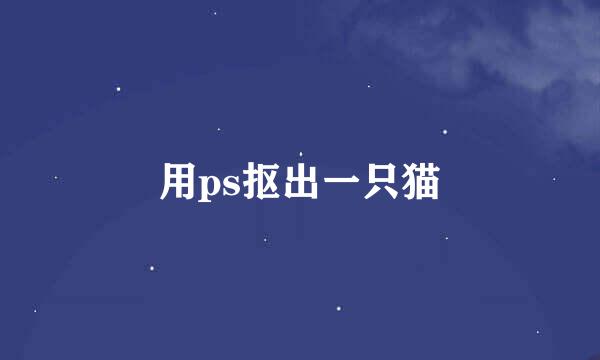 用ps抠出一只猫
