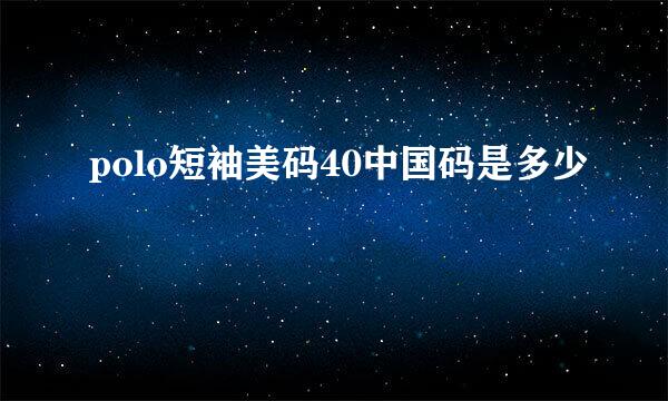 polo短袖美码40中国码是多少