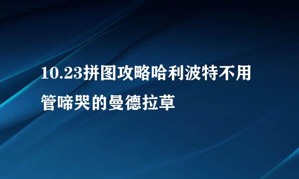 10.23拼图攻略哈利波特不用管啼哭的曼德拉草